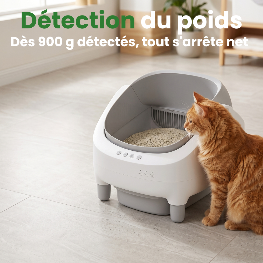 Litière Automatique Grande Capacité - Eclipse
