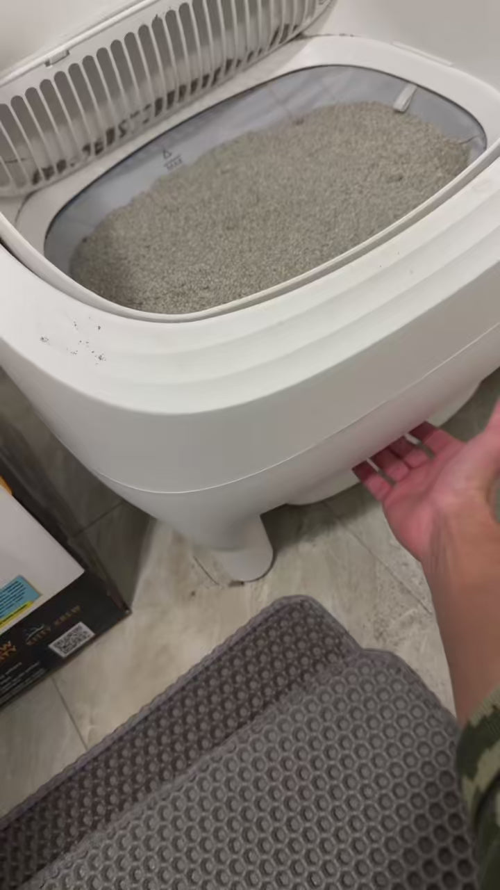 Vidéo