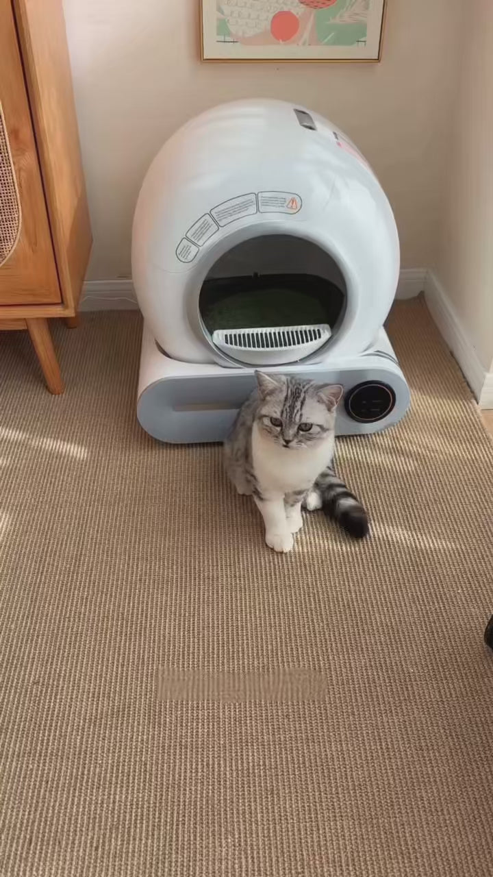 Vidéo