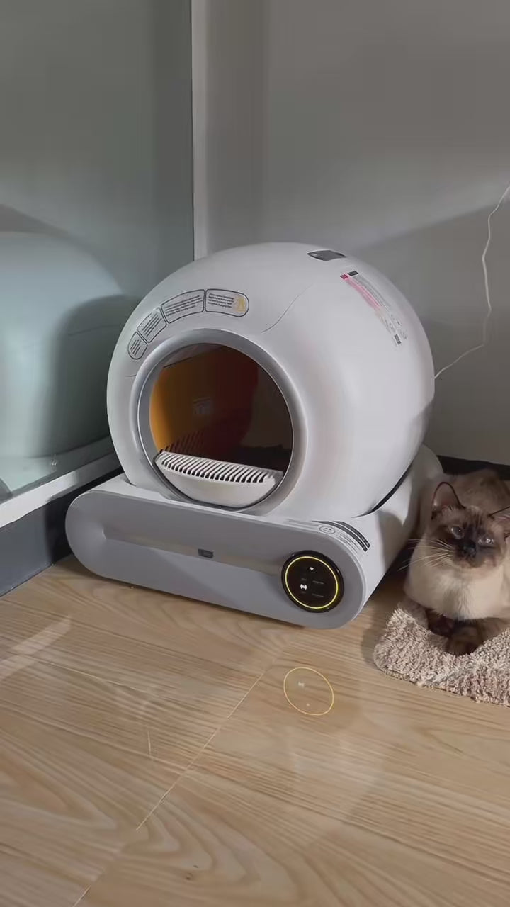Vidéo