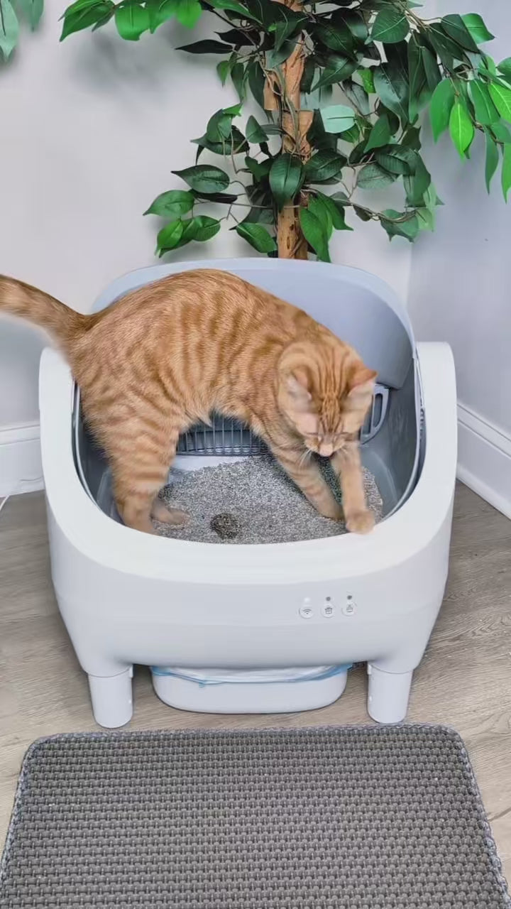 Vidéo